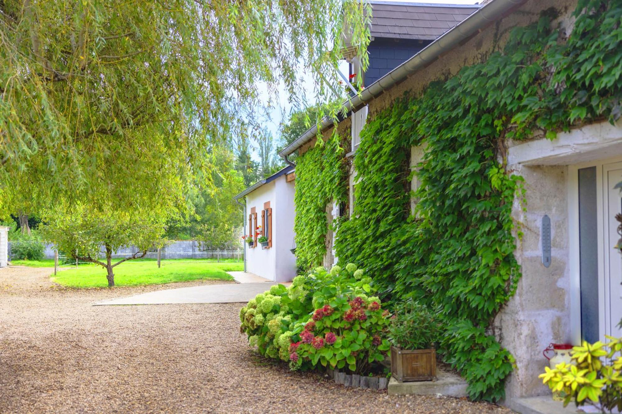 Ferme De Marpalu Bed and Breakfast La Ferté-Saint-Cyr Buitenkant foto