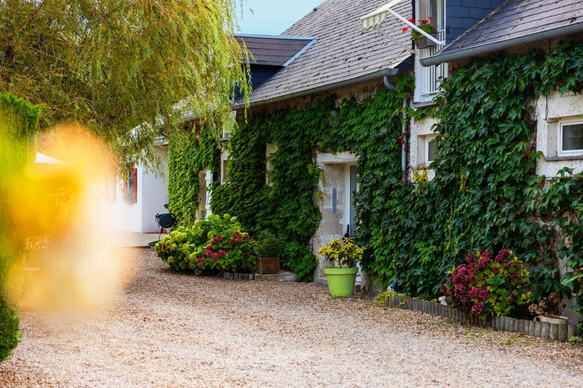 Ferme De Marpalu Bed and Breakfast La Ferté-Saint-Cyr Buitenkant foto